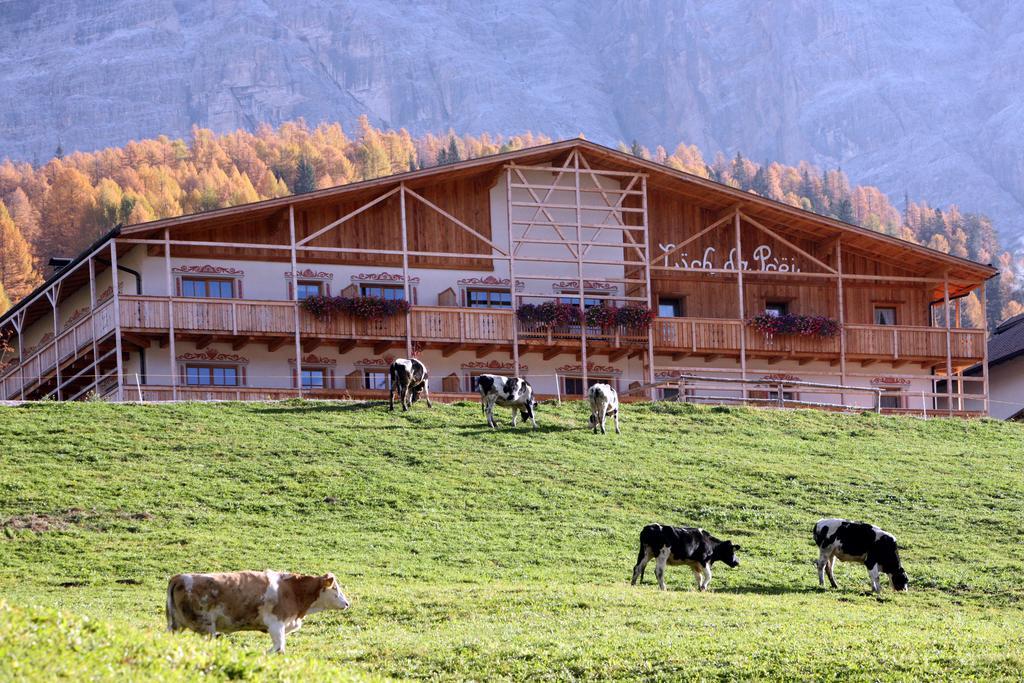 Hotel Lüch Da Pćëi San Cassiano  Zewnętrze zdjęcie